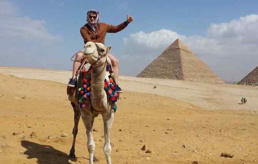 7 Days and 6 Nights Cairo Aviation Pyramids & Nile from Aswan to Luxor (Special)