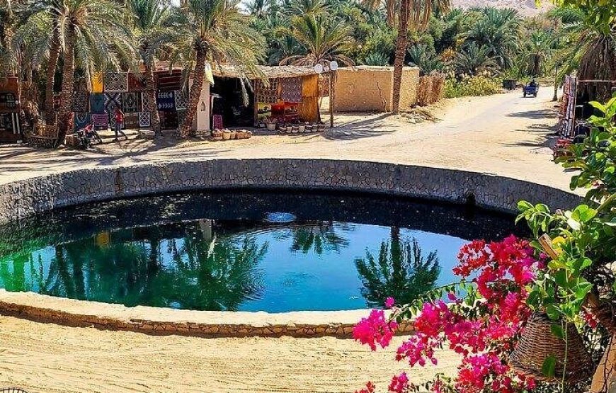 Siwa Oasis Tour All inclusive 3 Days Experience from Cairo&Giza